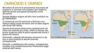 OMINOIDEI E OMINIDI
40 milioni di anni fa le proscimmie iniziarono ad
evolversi in scimmie con caratteri più moderni,
definite perciò antropoidi (d’aspetto simile
all’uomo).
Queste diedero origine ad altri rami evolutivi tra
gli OMINOIDEI.
15 milioni di anni fa cominciò a formarsi una
frattura della crosta terrestre che ha dato origine
alla Great Rift Valley:
Questa formazione determinò cambiamenti nel
clima che diventò più arido, infatti la foresta che
prima ricopriva tutta la parte equatoriale lasciò il
posto alla savana
Ominoidei: adattati alla foresta rimasero lì e da
essi si sono evolute le attuali scimmie
antropomorfe
Ominidi: si adattarono alla savana, svilupparono
caratteri che caratterizzeranno l’evoluzione degli
antenati dell‘uomo.
 