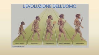 L’EVOLUZIONE DELL’UOMO
 