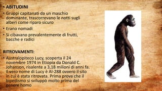 • ABITUDINI
• Gruppi capitanati da un maschio
dominante, trascorrevano le notti sugli
alberi come riparo sicuro
• Erano nomadi
• Si cibavano prevalentemente di frutti,
bacche e radici
RITROVAMENTI:
• Australopiteco Lucy, scoperta il 24
novembre 1974 in Etiopia da Donald C.
Johanson, risalente a 3,18 milioni di anni fa.
Il vero nome di Lucy è Al-288 ovvero il sito
in cui è stata ritrovata. Prima prova che il
bipedismo si sviluppò molto prima del
genere homo
 
