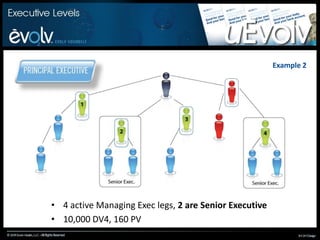 Example 14 active legs (2 are Managing Executives)5000 DV4, 160 PV