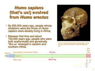 Homo sapiens (that’s us!) evolved from  Homo erectus By 200,000 years ago, people whose skeletons were like those of  Homo sapiens  were already living in Africa. Between that time and about 100,000 years ago, people who were both anatomically and genetically “like us” emerged in eastern and southern Africa.  This is a reconstructed  Homo sapiens  skull, found in Israel. It has been dated to about 90,000 years ago.  200k yrs ago Human Origins: Homo sapiens in Africa 100k yrs ago S.W. Asia 200k yrs ago Human Origins: Homo sapiens in Africa Today Big Eras 3-9 10k years ago Big Era 2 Big Era 1 