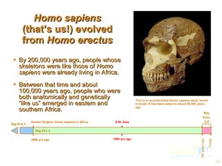 Homo sapiens (that’s us!) evolved from  Homo erectus By 200,000 years ago, people whose skeletons were like those of  Homo sapiens  were already living in Africa. Between that time and about 100,000 years ago, people who were both anatomically and genetically “like us” emerged in eastern and southern Africa.  This is a reconstructed  Homo sapiens  skull, found in Israel. It has been dated to about 90,000 years ago.  200k yrs ago Human Origins: Homo sapiens in Africa 100k yrs ago S.W. Asia 200k yrs ago Human Origins: Homo sapiens in Africa Today Big Eras 3-9 10k years ago Big Era 2 Big Era 1 