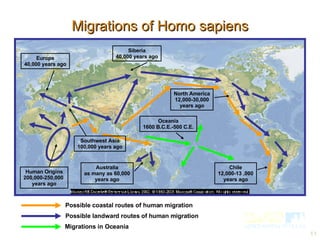 Migrations of Homo sapiens Possible coastal routes of human migration Possible landward routes of human migration Migrations in Oceania Human Origins 200,000-250,000  years ago Southwest Asia 100,000 years ago Europe 40,000 years ago Siberia 40,000 years ago Australia as many as 60,000 years ago North America 12,000-30,000 years ago Oceania 1600 B.C.E.-500 C.E. Chile 12,000-13 ,000 years ago 