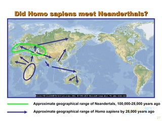 Did Homo sapiens meet Neanderthals? Approximate geographical range of Neandertals, 100,000-28,000 years ago Approximate geographical range of  Homo sapiens  by 28,000 years ago 
