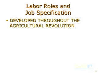 Labor Roles and  Job Specification  DEVELOPED THROUGHOUT THE AGRICULTURAL REVOLUTION 