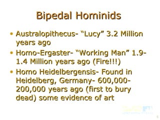 Bipedal Hominids  Australopithecus- “Lucy” 3.2 Million years ago Homo-Ergaster- “Working Man” 1.9-1.4 Million years ago (Fire!!!) Homo Heidelbergensis- Found in Heidelberg, Germany- 600,000-200,000 years ago (first to bury dead) some evidence of art 