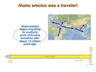 Homo erectus  was a traveler! Homo erectus  began migrating to southerly parts of Eurasia sometime after about 1.8 million years ago. Homo erectus 200k yrs ago Today Big Eras 3-9 10k 1.8 mil. yrs ago 27k Big Era 1 Big Era 2 