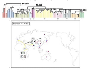 60,000 45,000 18,000 30,000 30,000 