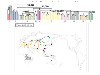 60,000 45,000 18,000 30,000 30,000 