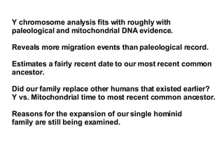 Y chromosome analysis fits with roughly with  paleological and mitochondrial DNA evidence. Reveals more migration events than paleological record. Estimates a fairly recent date to our most recent common  ancestor.  Did our family replace other humans that existed earlier? Y vs. Mitochondrial time to most recent common ancestor. Reasons for the expansion of our single hominid  family are still being examined.  