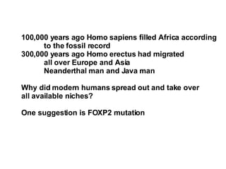 100,000 years ago Homo sapiens filled Africa according  to the fossil record 300,000 years ago Homo erectus had migrated  all over Europe and Asia Neanderthal man and Java man Why did modern humans spread out and take over  all available niches? One suggestion is FOXP2 mutation 