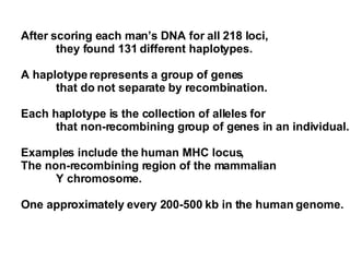 After scoring each man’s DNA for all 218 loci,  they found 131 different haplotypes. A haplotype represents a group of genes  that do not separate by recombination. Each haplotype is the collection of alleles for  that non-recombining group of genes in an individual. Examples include the human MHC locus,  The non-recombining region of the mammalian  Y chromosome. One approximately every 200-500 kb in the human genome. 