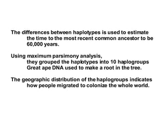 The differences between haplotypes is used to estimate the time to the most recent common ancestor to be  60,000 years. Using maximum parsimony analysis,  they grouped the haplotypes into 10 haplogroups Great ape DNA used to make a root in the tree. The geographic distribution of the haplogroups indicates  how people migrated to colonize the whole world. 