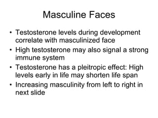 Masculine Faces Testosterone levels during development correlate with masculinized face High testosterone may also signal a strong immune system Testosterone has a pleitropic effect: High levels early in life may shorten life span Increasing masculinity from left to right in next slide 