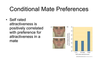 Conditional Mate Preferences Self rated attractiveness is positively correlated with preference for attractiveness in a mate 