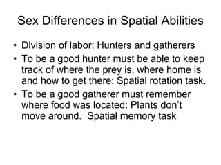 Sex Differences in Spatial Abilities Division of labor: Hunters and gatherers To be a good hunter must be able to keep track of where the prey is, where home is and how to get there: Spatial rotation task. To be a good gatherer must remember where food was located: Plants don’t move around.  Spatial memory task 