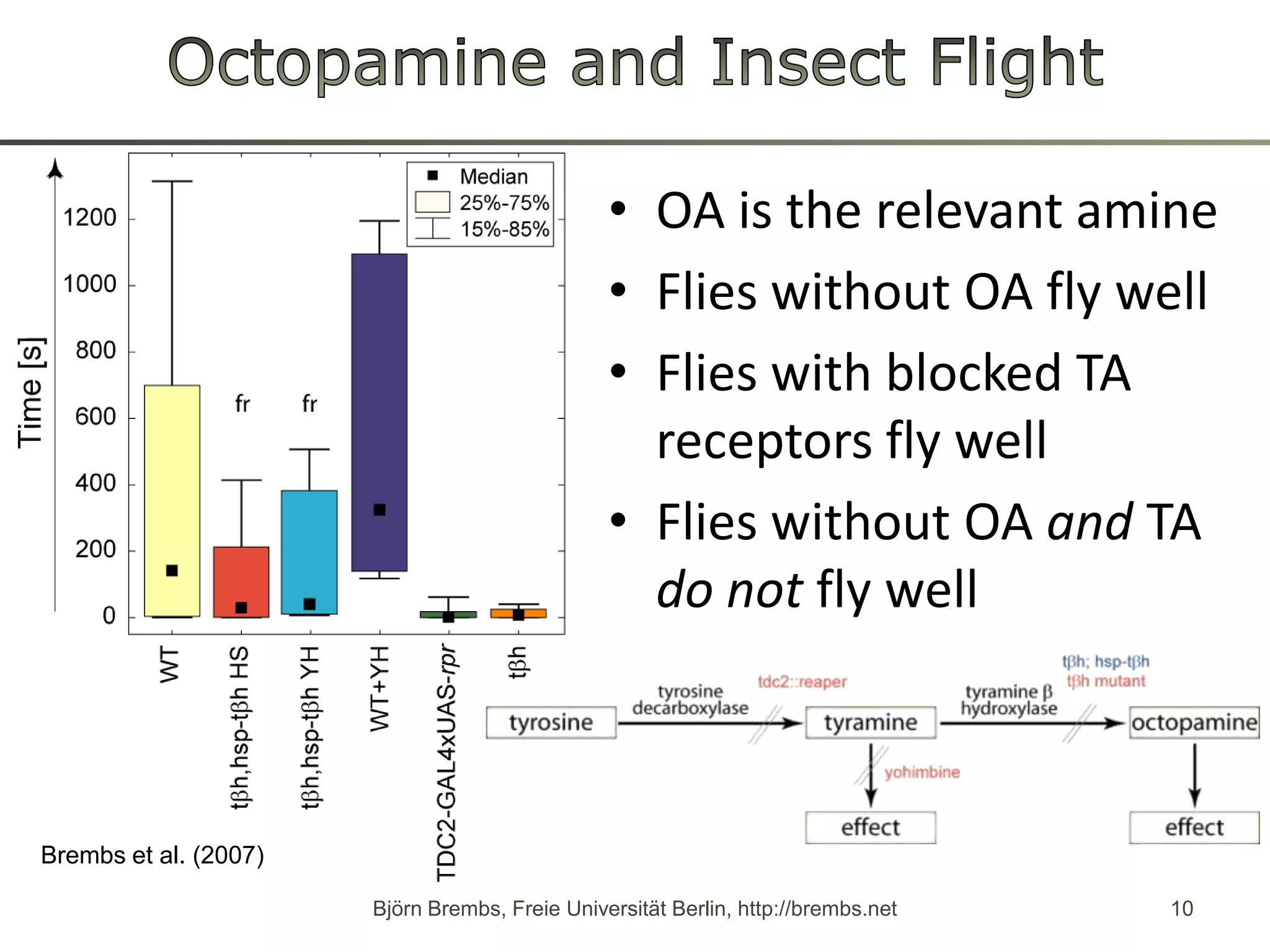 Octopamine and Insect FlightOA isthe relevant amineFlies without OA fly wellFlies withblocked TA receptorsfly wellFlies without OA and TA do notfly wellBjörn Brembs, Freie Universität Berlin, http://brembs.net10Brembs et al. (2007)