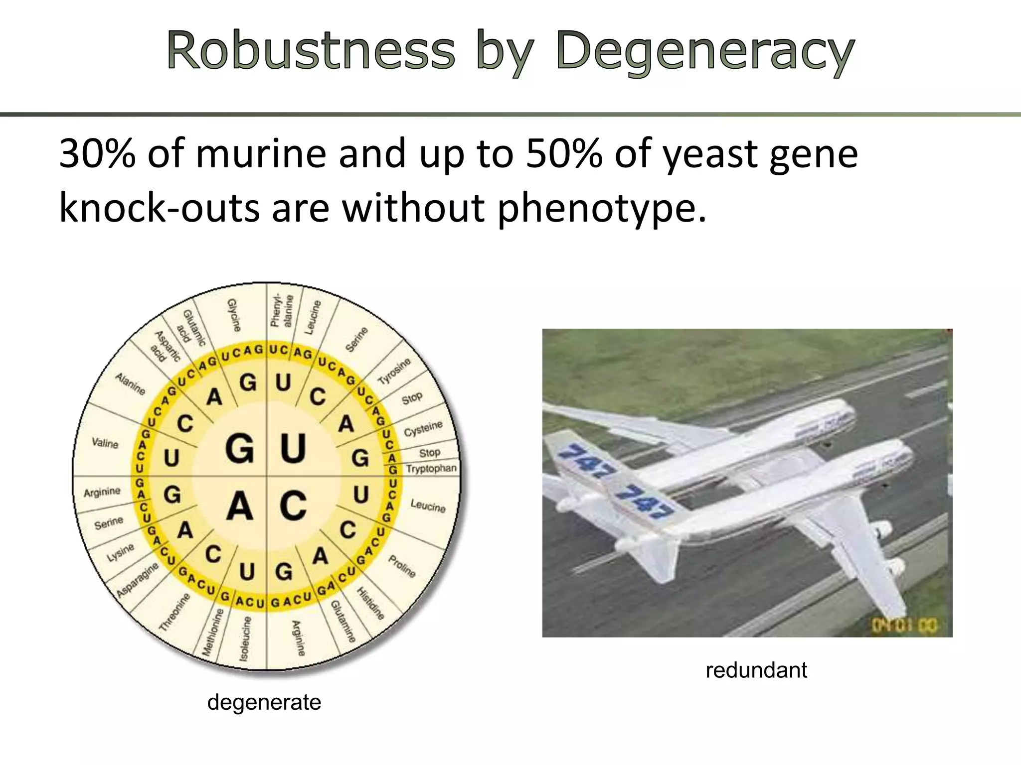 Robustness by Degeneracy30% ofmurineandupto 50% ofyeastgene knock-outsarewithoutphenotype.redundantdegenerate