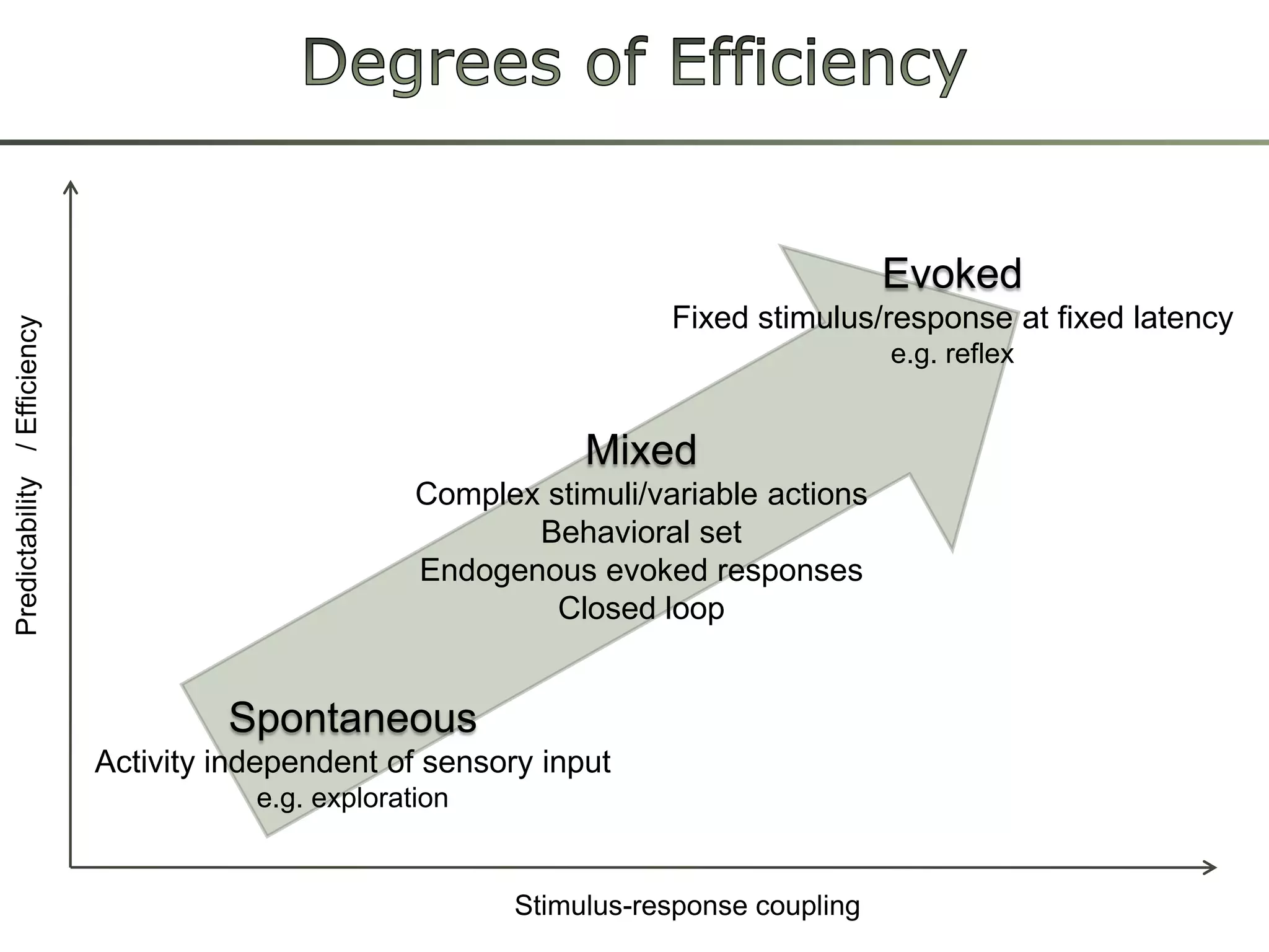 Degreesof EfficiencyEvokedFixed stimulus/responseatfixedlatencye.g. reflex/ EfficiencyMixedComplexstimuli/variable actionsBehavioralsetEndogenousevokedresponsesClosedloopPredictabilitySpontaneousActivityindependentofsensoryinpute.g. explorationStimulus-responsecoupling