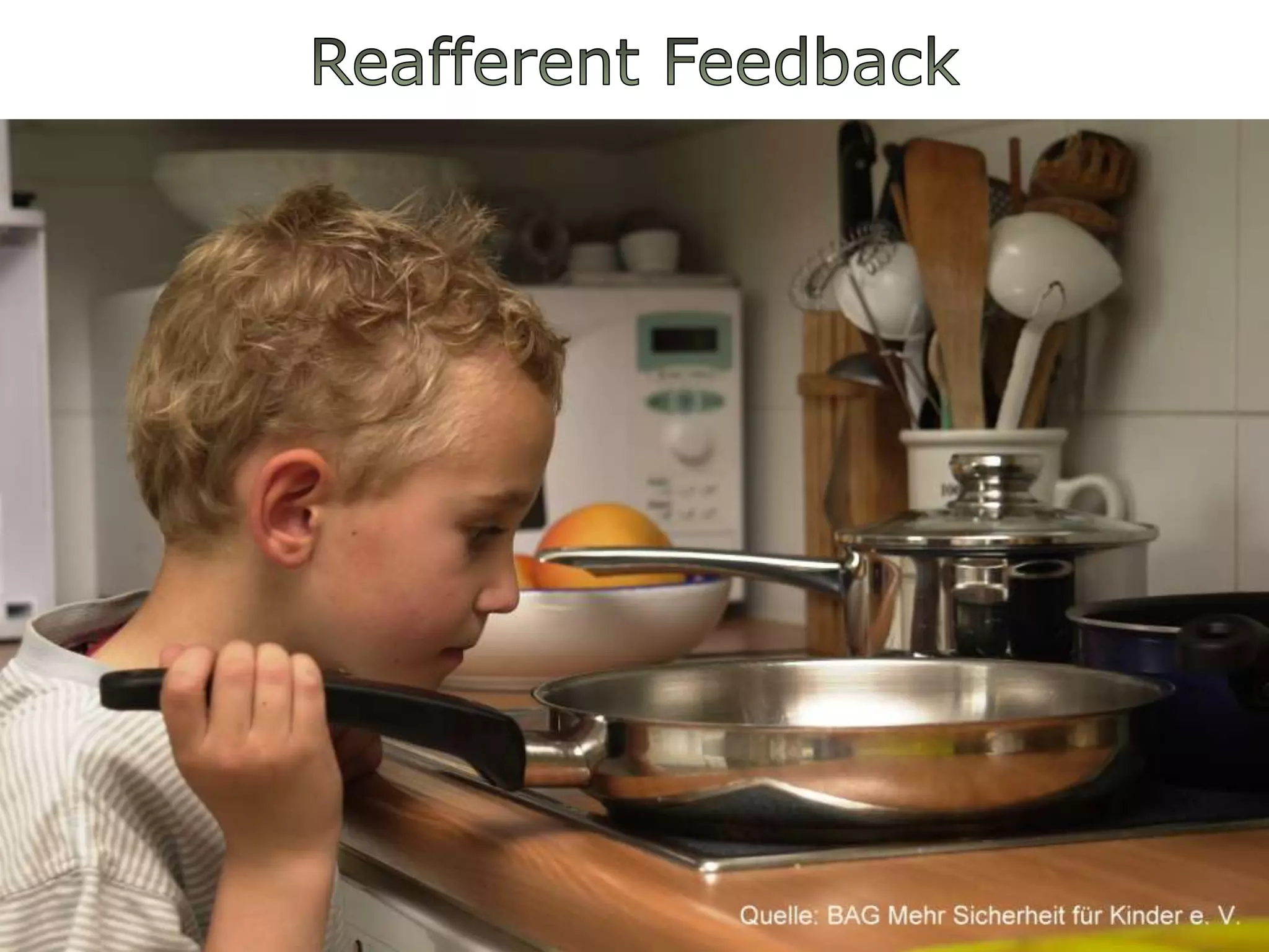 Reafferent Feedback13.07.2010Björn Brembs, Freie Universität Berlin27