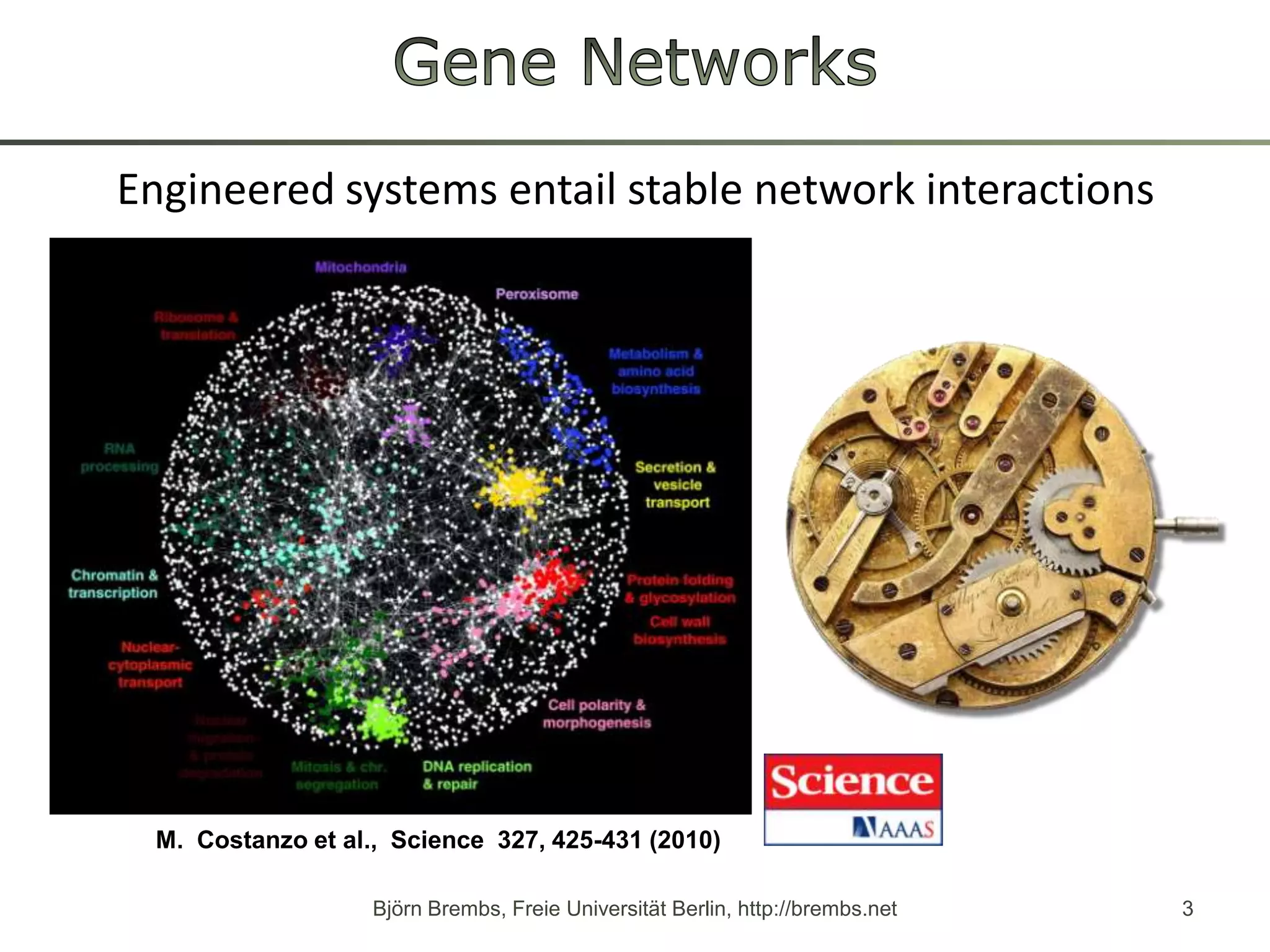 Gene NetworksEngineeredsystemsentailstablenetworkinteractionsBjörn Brembs, Freie Universität Berlin, http://brembs.net3 M.  Costanzo et al.,  Science  327, 425-431 (2010)    
