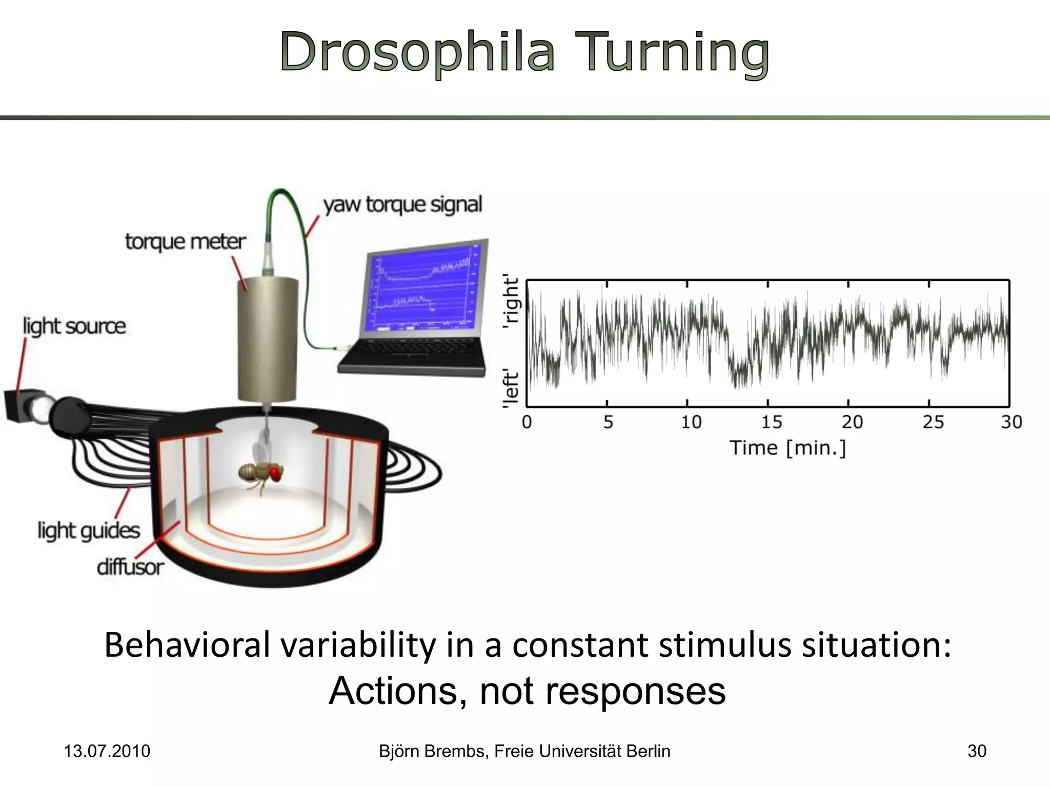 Drosophila Turning13.07.2010Björn Brembs, Freie Universität Berlin30Behavioralvariability in a constantstimulussituation:Actions, not responses