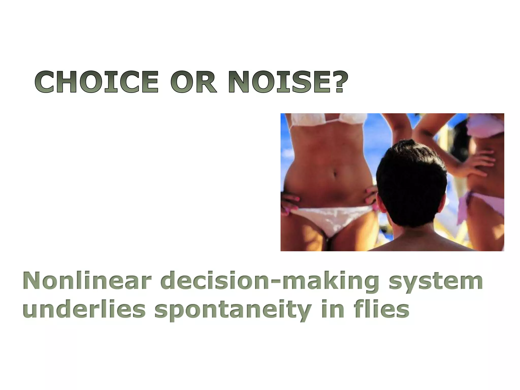 Choice or Noise?Nonlineardecision-makingsystem underlies spontaneity in flies