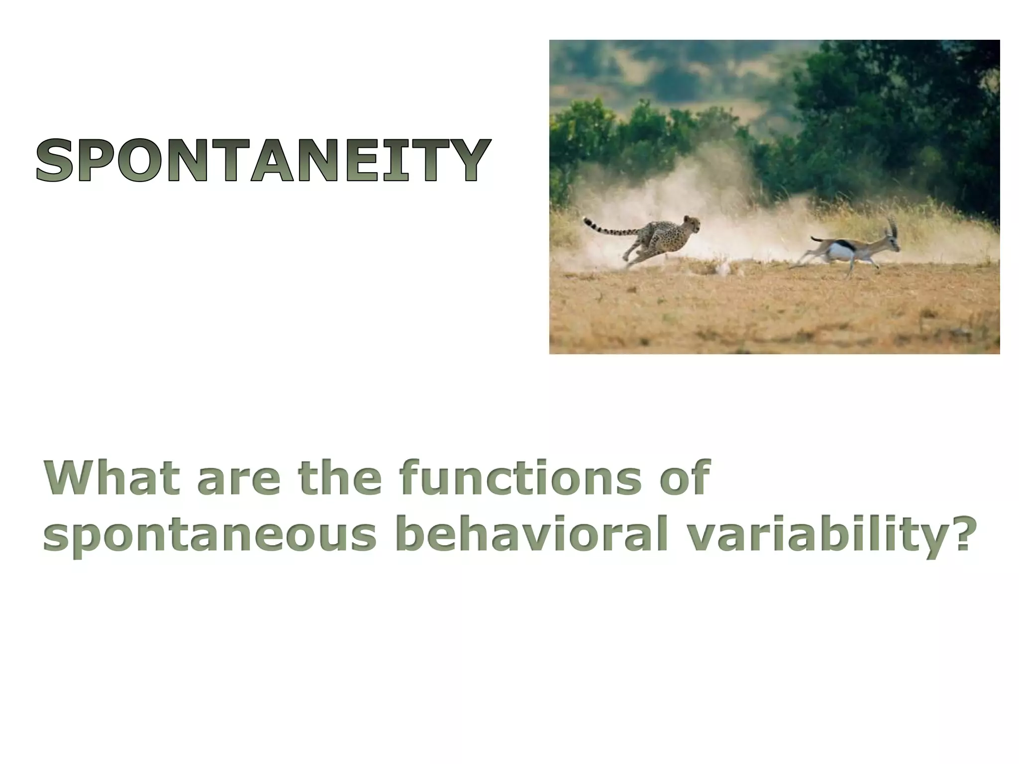 spontaneityWhatarethefunctionsofspontaneousbehavioralvariability?