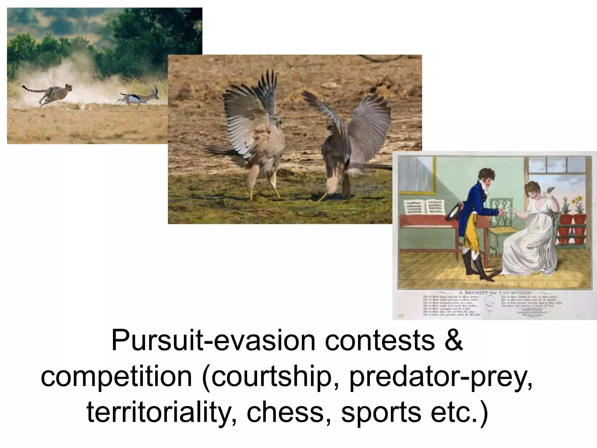 Pursuit-evasioncontests& competition (courtship, predator-prey, territoriality, chess, sports etc.)
