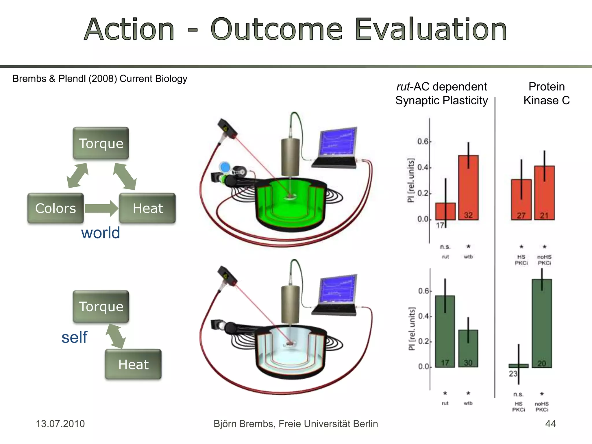 Action - Outcome EvaluationBrembs & Plendl (2008) CurrentBiologyrut-AC dependentSynapticPlasticityProtein Kinase Cworldself13.07.2010Björn Brembs, Freie Universität Berlin44