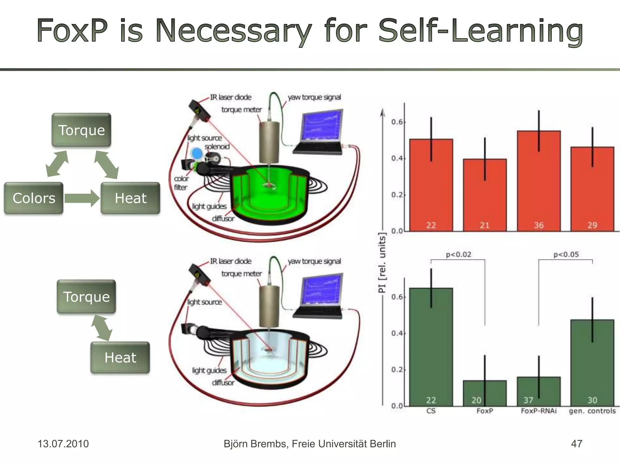 13.07.2010Björn Brembs, Freie Universität Berlin47FoxPisNecessaryforSelf-Learning