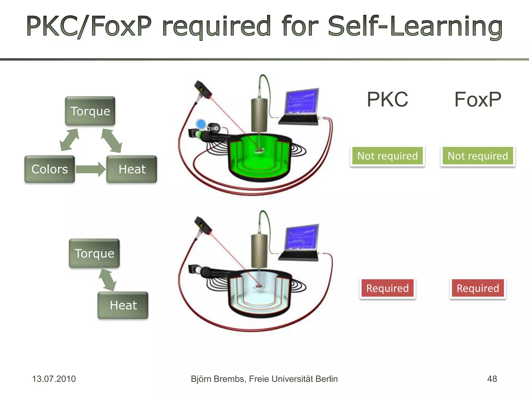 PKC/FoxPrequiredforSelf-LearningFoxPPKCNot requiredNot requiredRequiredRequired13.07.2010Björn Brembs, Freie Universität Berlin48