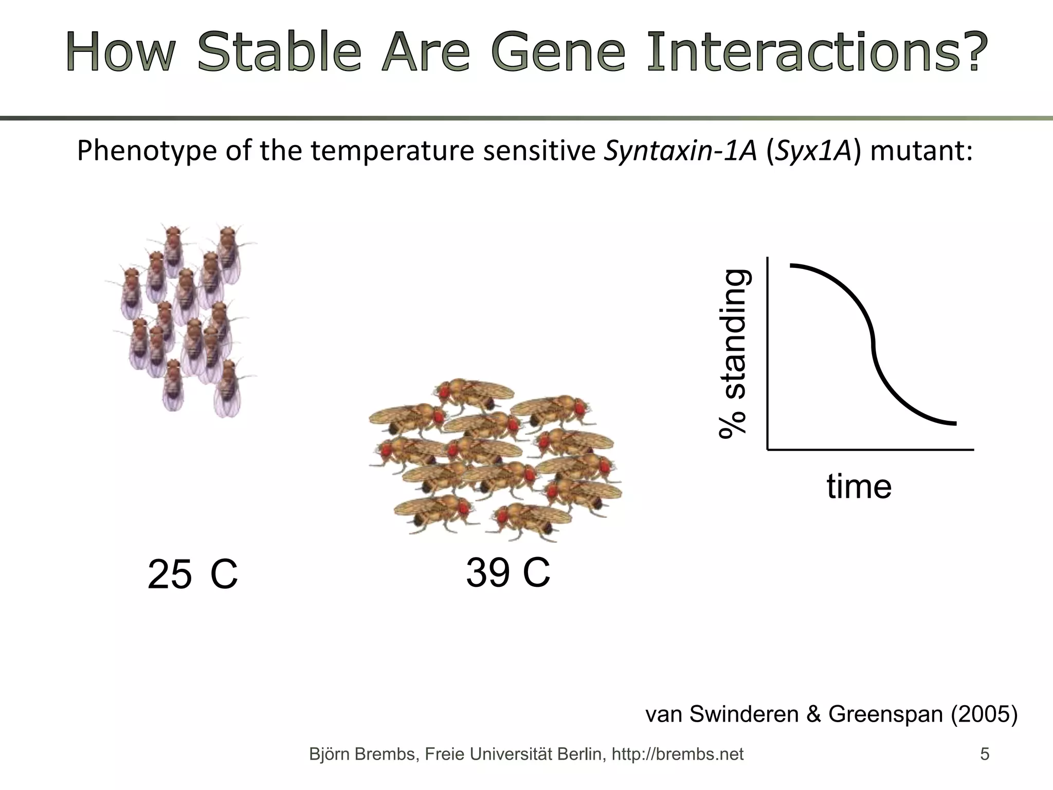 How Stable Are Gene Interactions?Phenotypeofthetemperature sensitive Syntaxin-1A (Syx1A) mutant:Björn Brembs, Freie Universität Berlin, http://brembs.net5% standingtime39°C25°Cvan Swinderen & Greenspan (2005)