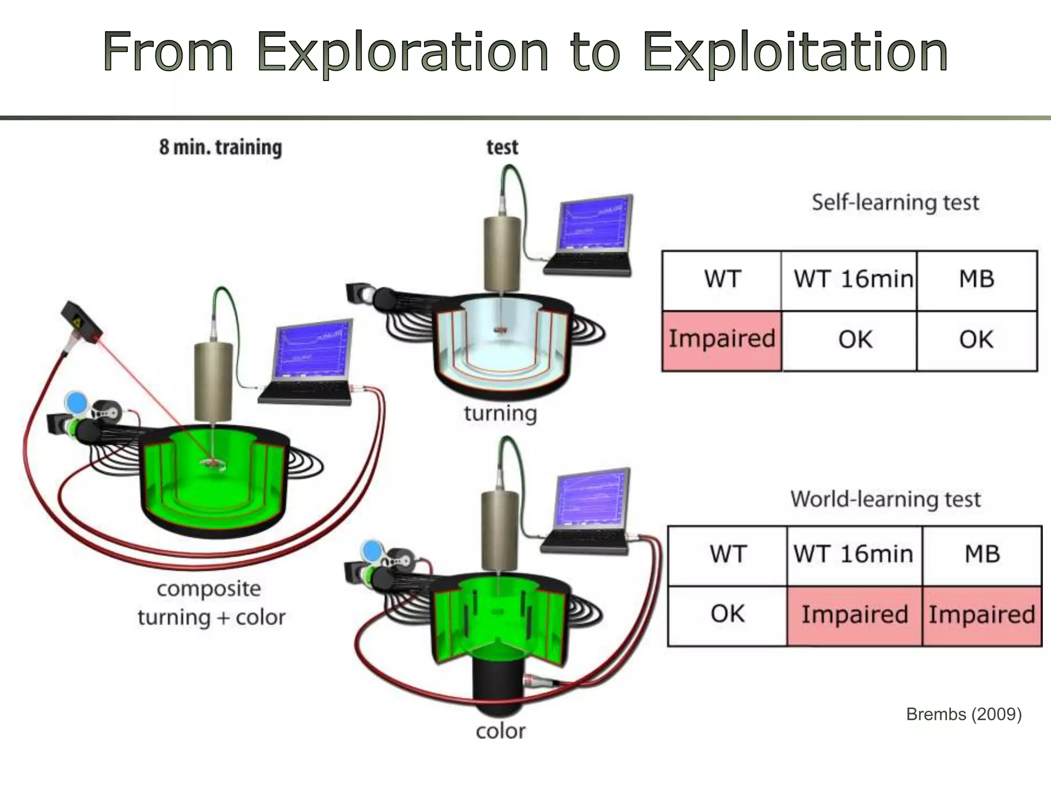 From Exploration toExploitationBrembs (2009)