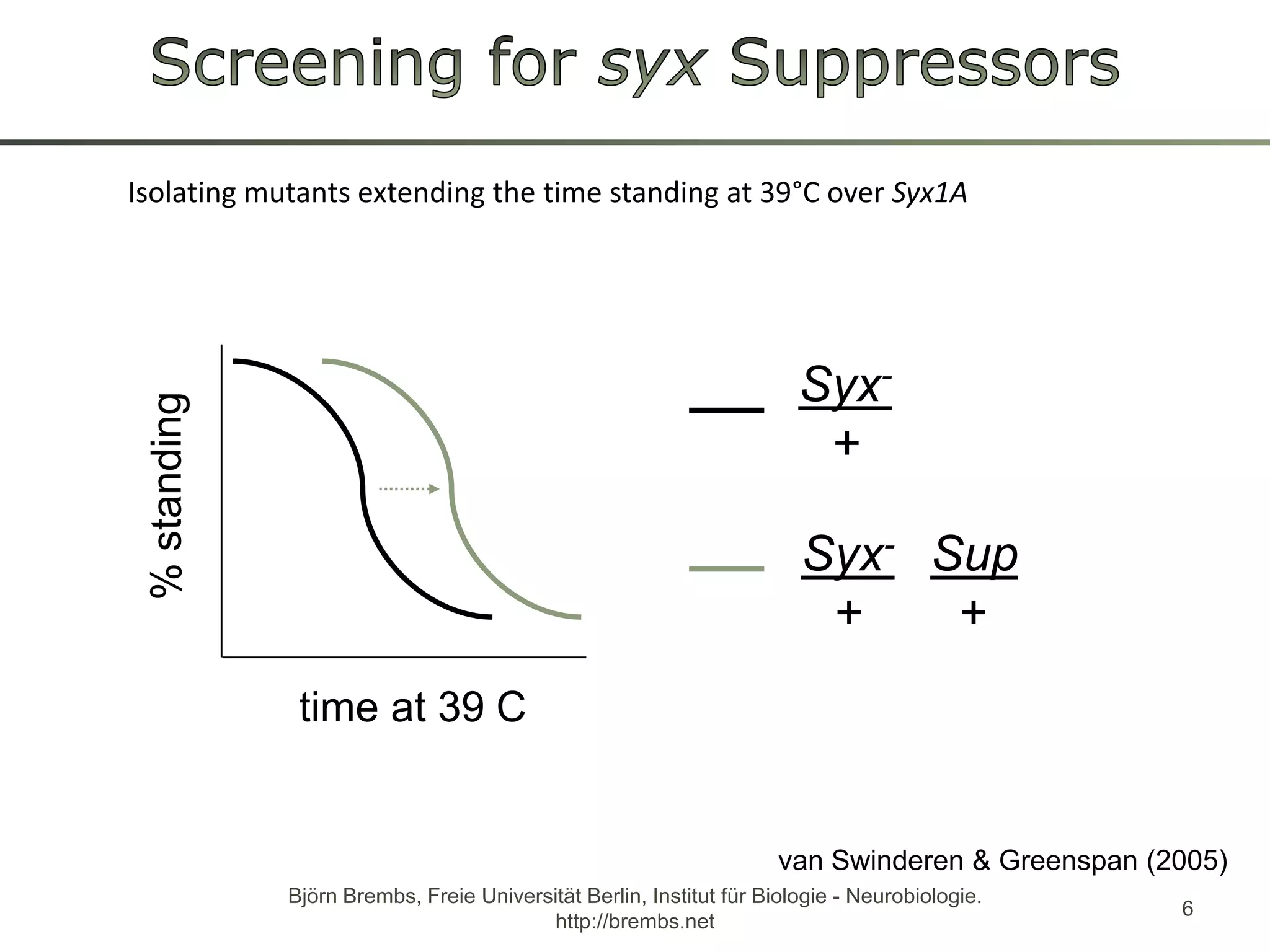 Screening forsyxSuppressorsIsolating mutants extending the time standing at 39°C over Syx1ABjörn Brembs, Freie Universität Berlin, Institut für Biologie - Neurobiologie. http://brembs.net6Syx-+% standingSyx-Sup+       +time at 39°Cvan Swinderen & Greenspan (2005)