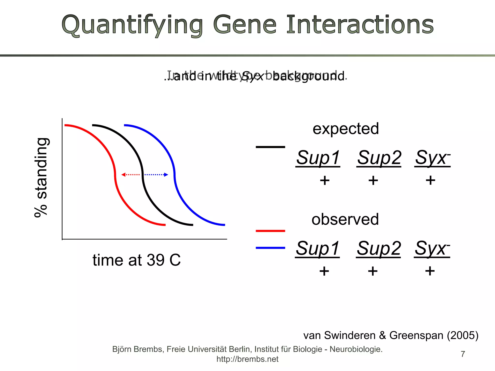 Quantifying Gene InteractionsIn thewildtypebackground…Björn Brembs, Freie Universität Berlin, Institut für Biologie - Neurobiologie. http://brembs.net7expectedobservedSup1Sup2+       +Sup1Sup2+       +…and in theSyx-backgroundSyx-+% standingSyx- +time at 39°Cvan Swinderen & Greenspan (2005)
