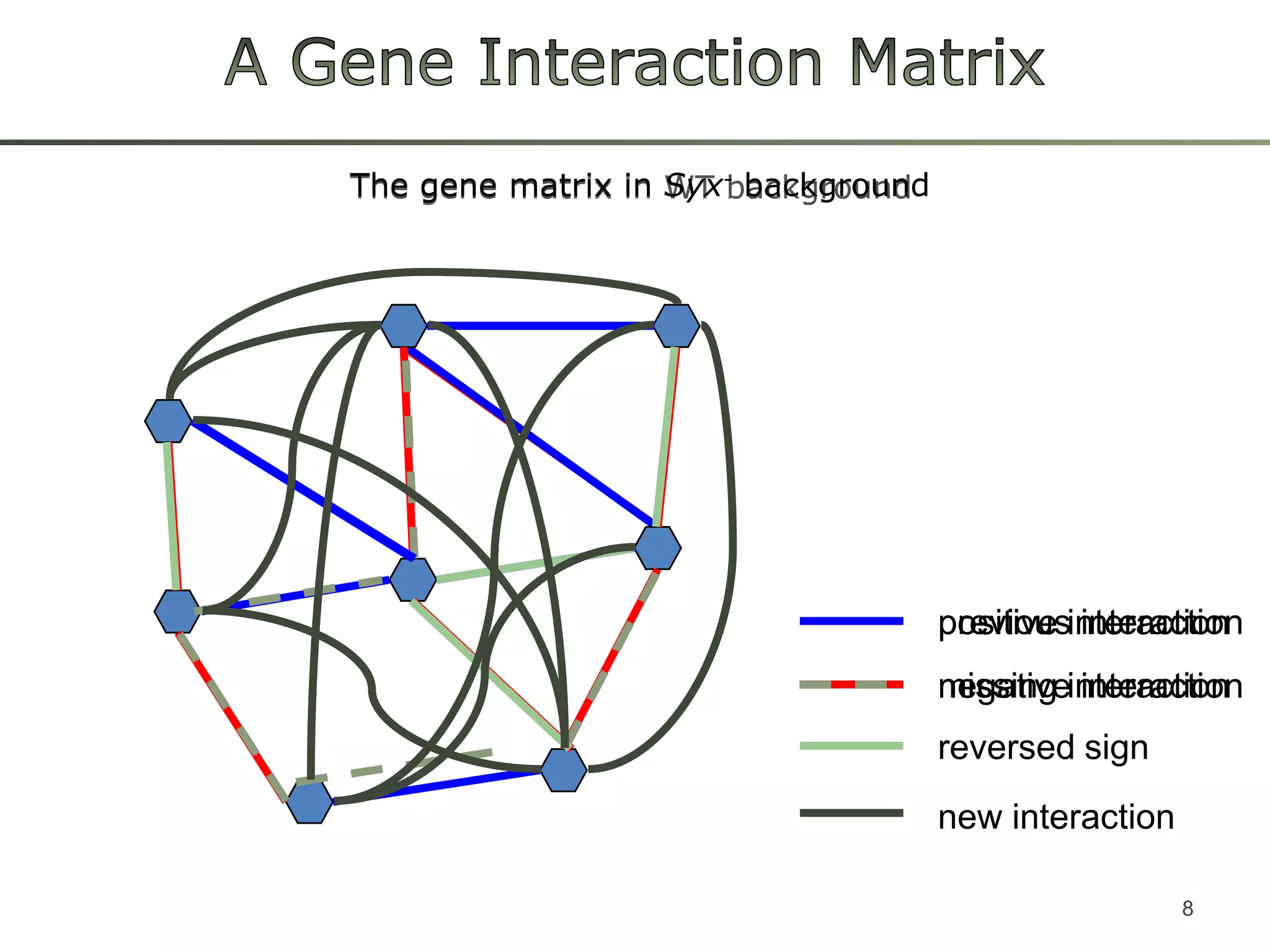 A Gene Interaction Matrix The genematrix in WT background8The genematrix in Syx-backgroundprevious interactionpositive interactionmissing interactionnegative interactionreversed signnew interaction