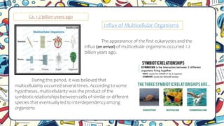 Ca. 1.2 billion years ago
The appearance of the first eukaryotes and the
influx (an arrival) of multicellular organisms occurred 1.2
billion years ago.
During this period, it was believed that
multicellularity occurred several times. According to some
hypotheses, multicellularity was the product of the
symbiotic relationships between cells of similar or different
species that eventually led to interdependency among
organisms
Influx of Multicellular Organisms
 
