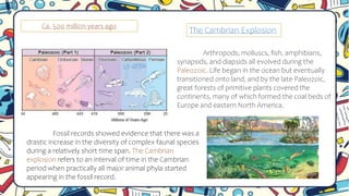 Ca. 500 milli0n years ago
The Cambrian Explosion
Arthropods, molluscs, fish, amphibians,
synapsids, and diapsids all evolved during the
Paleozoic. Life began in the ocean but eventually
transitioned onto land, and by the late Paleozoic,
great forests of primitive plants covered the
continents, many of which formed the coal beds of
Europe and eastern North America.
Fossil records showed evidence that there was a
drastic increase in the diversity of complex faunal species
during a relatively short time span. The Cambrian
explosion refers to an interval of time in the Cambrian
period when practically all major animal phyla started
appearing in the fossil record.
 
