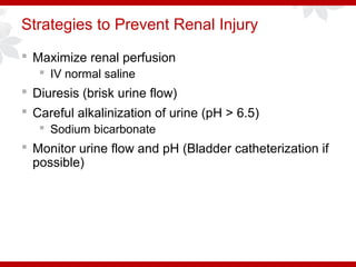 Strategies to Prevent Renal Injury
 Maximize renal perfusion
 IV normal saline
 Diuresis (brisk urine flow)
 Careful alkalinization of urine (pH > 6.5)
 Sodium bicarbonate
 Monitor urine flow and pH (Bladder catheterization if
possible)
 