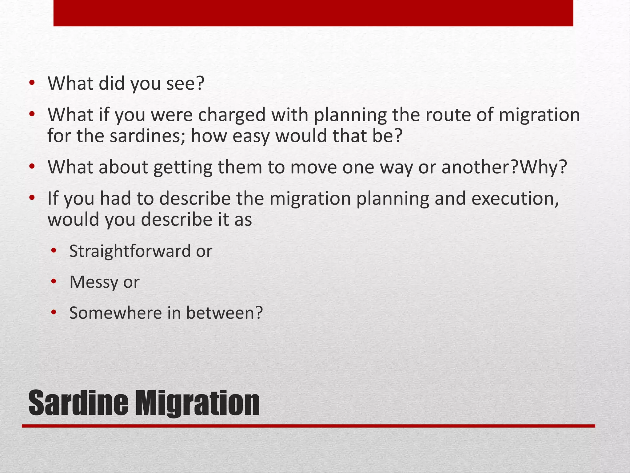 Sardine Migration
• What did you see?
• What if you were charged with planning the route of migration
for the sardines; how easy would that be?
• What about getting them to move one way or another?Why?
• If you had to describe the migration planning and execution,
would you describe it as
• Straightforward or
• Messy or
• Somewhere in between?
 