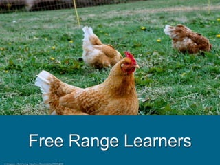 Free Range Learners
cc: Compassion in World Farming - https://www.flickr.com/photos/9969495@N02
 