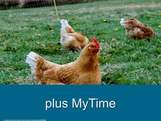 plus MyTime
cc: Compassion in World Farming - https://www.flickr.com/photos/9969495@N02
 