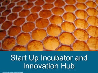 Start Up Incubator and
Innovation Hub
cc: justus.thane - https://www.flickr.com/photos/55015147@N00
 