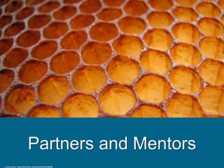 Partners and Mentors
cc: justus.thane - https://www.flickr.com/photos/55015147@N00
 