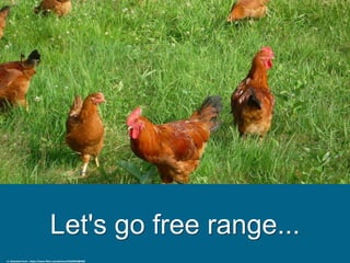 Let's go free range...
cc: Bluestem Farm - https://www.flickr.com/photos/52636942@N06
 