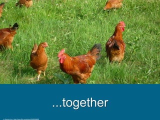 ...together
cc: Bluestem Farm - https://www.flickr.com/photos/52636942@N06
 