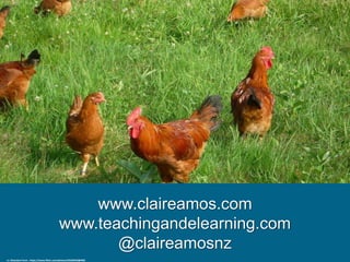 www.claireamos.com
www.teachingandelearning.com
@claireamosnz
cc: Bluestem Farm - https://www.flickr.com/photos/52636942@N06
 