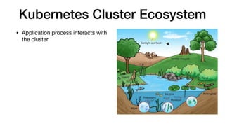 Kubernetes Cluster Ecosystem
• Application process interacts with
the cluster
 