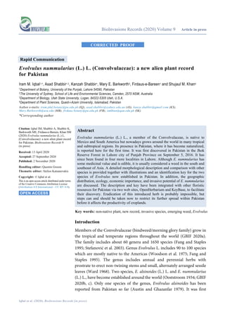 BioInvasions Records (2020) Volume 9 Article in press
Iqbal et al. (2020), BioInvasions Records (in press)
CORRECTED PROOF
Rapid Communication
Evolvulus nummularius (L.) L. (Convolvulaceae): a new alien plant record
for Pakistan
Iram M. Iqbal1,*, Asad Shabbir1,2, Kanzah Shabbir1, Mary E. Barkworth3, Firdaus-e-Bareen1 and Shujaul M. Khan4
1Department of Botany, University of the Punjab, Lahore 54590, Pakistan
2The University of Sydney, School of Life and Environmental Sciences, Camden, 2570 NSW, Australia
3Department of Biology, Utah State University, Logan, 84322-5305 Utah, U.S.A.
4Department of Plant Sciences, Quaid-i-Azam University, Islamabad, Pakistan
Author e-mails: iram.phd.botany@pu.edu.pk (IQ), asad.shabbir@sydney.edu.au (AS), kanza.shabbir@gmail.com (KS),
Mary.Barkworth@usu.edu (MB), firdaus.botany@pu.edu.pk (FB), smkhan@qau.edu.pk (SK)
*Corresponding author
Abstract
Evolvulus nummularius (L.) L., a member of the Convolvulaceae, is native to
Mexico and South America but nowadays grows around the world in many tropical
and subtropical regions. Its presence in Pakistan, where it has become naturalized,
is reported here for the first time. It was first discovered in Pakistan in the Jhok
Reserve Forest in Lahore city of Punjab Province on September 5, 2016. It has
since been found in four more localities in Lahore. Although E. nummularius has
some medicinal value and is edible, it is usually considered a weed in the south and
southeast of Asia. A detailed morphological description and comparison with other
species is provided together with illustrations and an identification key for the two
species of Evolvulus now established in Pakistan. In addition, the geographic
distribution, ecology, economic importance, and invasive potential of E. nummularius
are discussed. The description and key have been integrated with other floristic
resources for Pakistan via two web sites, OpenHerbarium and KeyBase, to facilitate
their discovery. Eradication of this introduced herb is probably impossible, but
steps can and should be taken now to restrict its further spread within Pakistan
before it affects the productivity of croplands.
Key words: non-native plant, new record, invasive species, emerging weed, Evolvulus
Introduction
Members of the Convolvulaceae (bindweed/morning glory family) grow in
the tropical and temperate regions throughout the world (GBIF 2020a).
The family includes about 60 genera and 1650 species (Fang and Staples
1995; Stefanović et al. 2003). Genus Evolvulus L. includes 90 to 100 species
which are mostly native to the Americas (Woodson et al. 1975; Fang and
Staples 1995). The genus includes annual and perennial herbs with
prostrate to erect non-twining stems and small, alternately arranged sessile
leaves (Ward 1968). Two species, E. alsinoides (L.) L. and E. nummularius
(L.) L., have become established around the world (Ooststroom 1934; GBIF
2020b, c). Only one species of the genus, Evolvulus alsinoides has been
reported from Pakistan so far (Austin and Ghazanfar 1979). It was first
Citation: Iqbal IM, Shabbir A, Shabbir K,
Barkworth ME, Firdaus-e-Bareen, Khan SM
(2020) Evolvulus nummularius (L.) L.
(Convolvulaceae): a new alien plant record
for Pakistan. BioInvasions Records 9
(in press)
Received: 13 April 2020
Accepted: 27 September 2020
Published: 2 November 2020
Handling editor: Quentin Groom
Thematic editor: Stelios Katsanevakis
Copyright: © Iqbal et al.
This is an open access article distributed under terms
of the Creative Commons Attribution License
(Attribution 4.0 International - CC BY 4.0).
OPEN ACCESS.
 